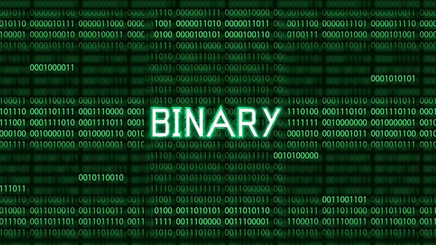 Vector binary number system computer technology background