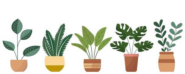 binnenplanten op witte achtergrond vector