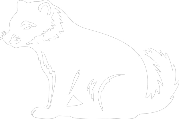 Vector binturong outline with transparent background