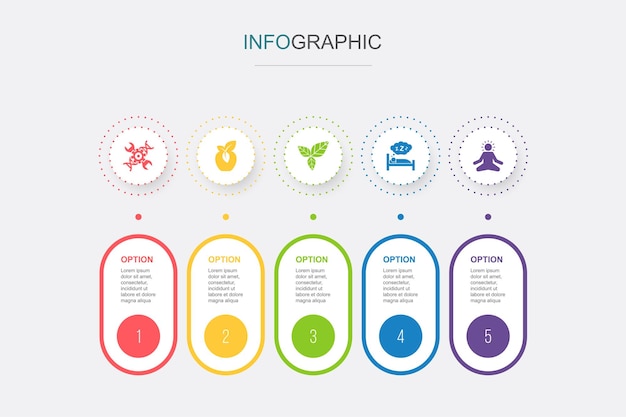 Vector biohacking organic food detox healthy sleeping meditation icons infographic design template creative concept with 5 steps