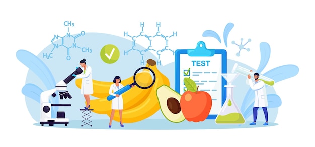 Vector biological scientists research of food. tiny chemists testing product to learn about safety, chemical structure. biologists growing plants in lab, cultivating genetically modified vegetables, fruits