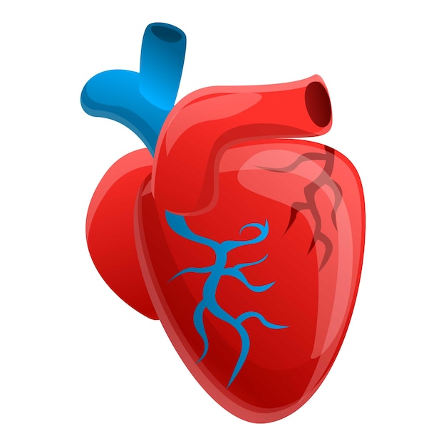 Biologie menselijk hart icoon Cartoon van biologie menselijk hart vector icoon voor webontwerp geïsoleerd op witte achtergrond