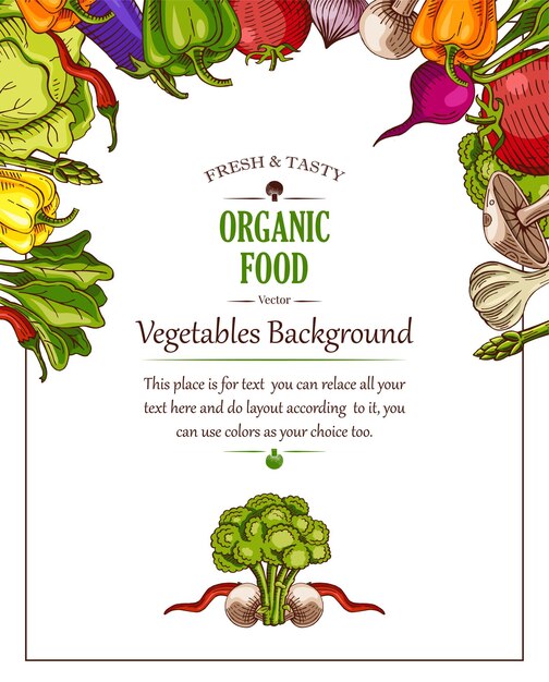 Vector biologisch voedsel flyer vegetarisch restaurant café sjabloon ontwerp met de hand getekende illustratie