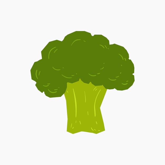 Biologische broccoli