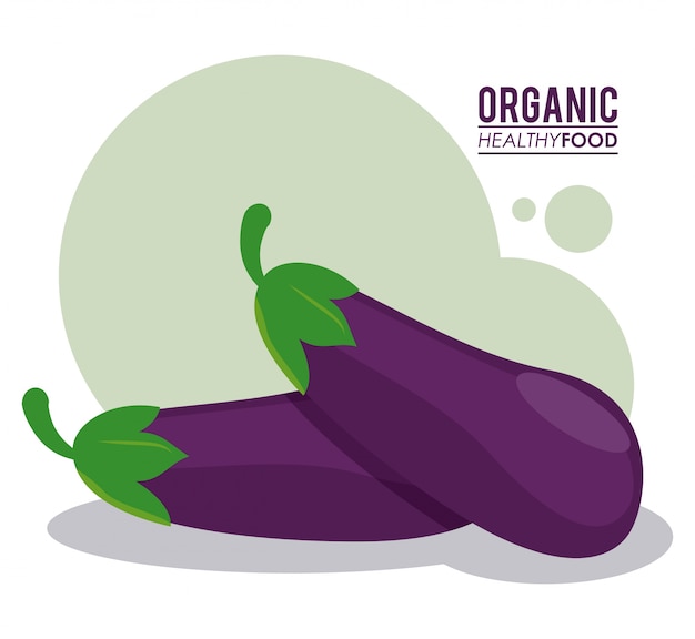 Biologische gezonde voeding van aubergines