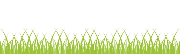 Vector biologische groene grasrand op witte achtergrond
