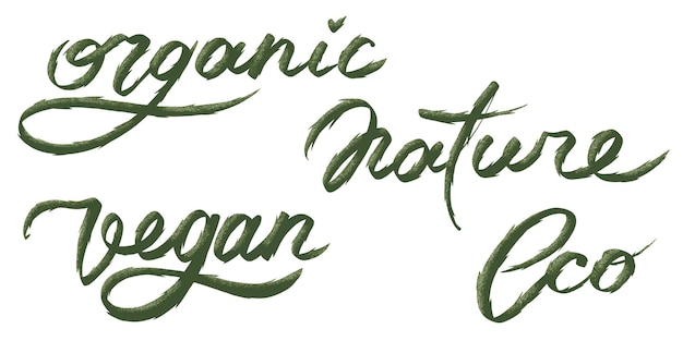 Biologische natuur vegan eco handgetekende groene belettering natuurproduct vectorillustratie