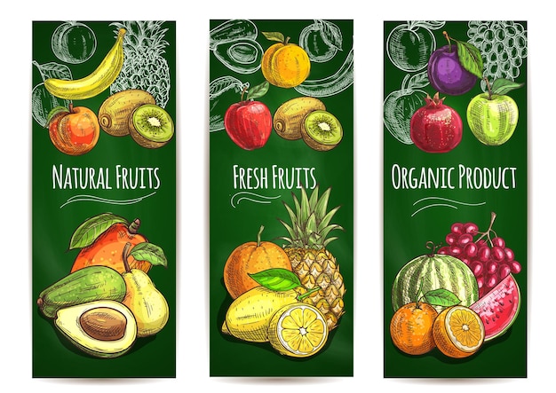 Biologische verse sappige vruchten schets van peer, sinaasappel, avocado