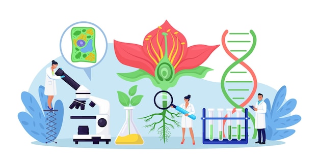 ベクトル 生物学 植物学の主題 自然を探求する生物学者 科学者は、植物の生命システムの実験室分析を行います 分子工学微生物学 実験装置を扱う化学研究者