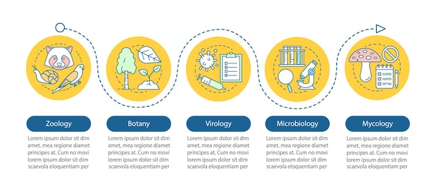 Шаблон векторной инфографики ветвей биологии