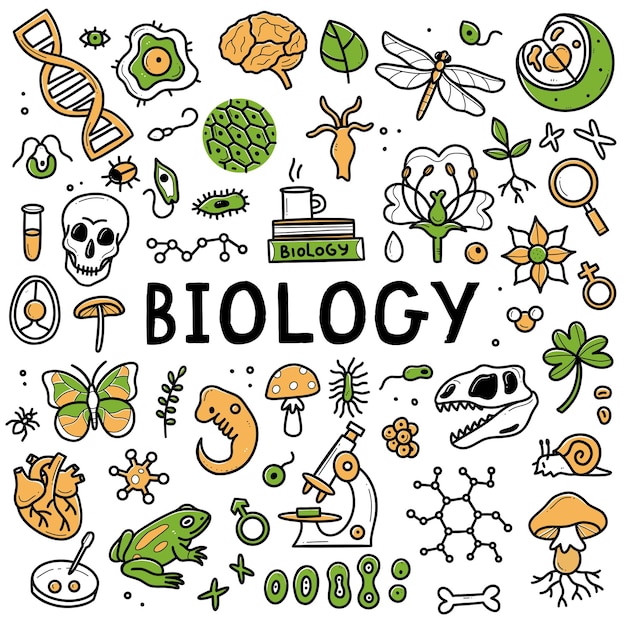 Vettore biology doodle set raccolta di elementi disegnati a mano scienza biologia isolata su uno sfondo bianco