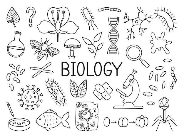 Vector biology doodle set education and study concept school equipment viruses bacteria in sketch style