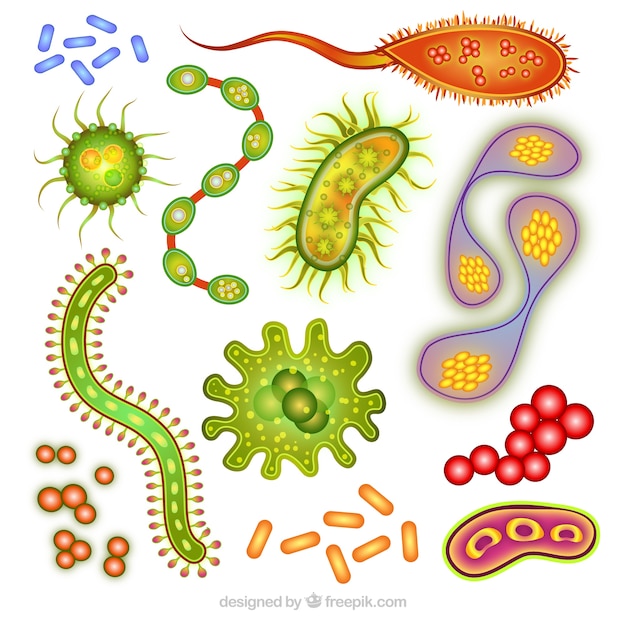 ベクトル 生物学生物