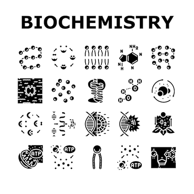 Набор векторных иконок химии биотехнологии