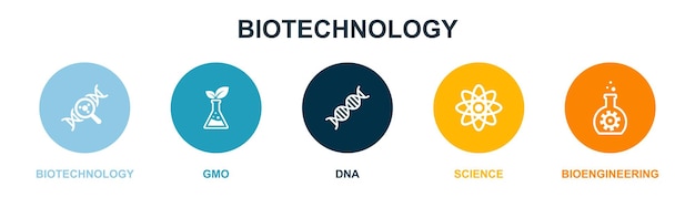 생명 공학 GMO DNA 과학 생명 공학 아이콘 인포 그래픽 디자인 템플릿 5 단계와 창조적 인 개념