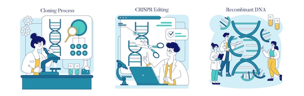 크리스프 (Crispr) 유전자 편집 및 재조합 DNA 기술에 종사하는 생물기술 세트 과학자