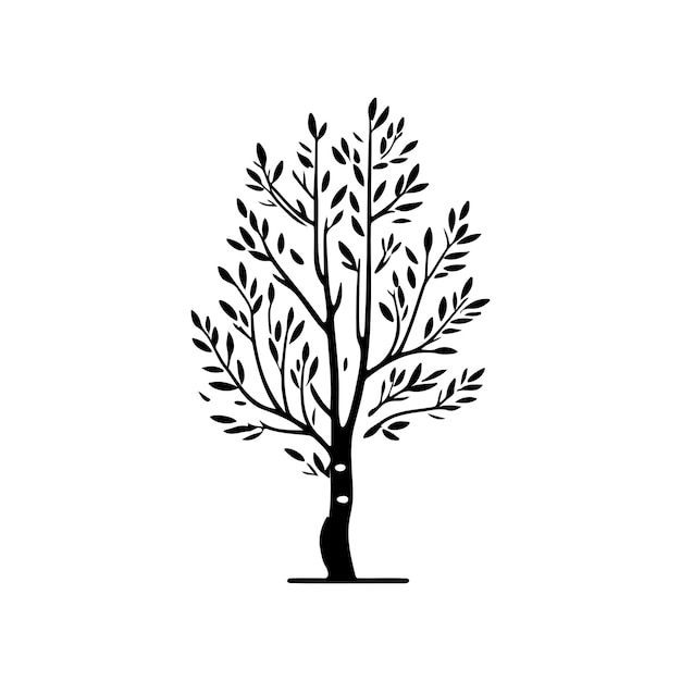 Vettore icona di betulla disegno a mano colore nero elemento vettoriale e simbolo del logo dell'albero
