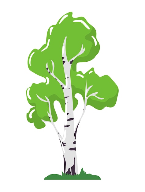 Birch tree icon concept central european and siberian nature wood organic natural timber cartoon vec...
