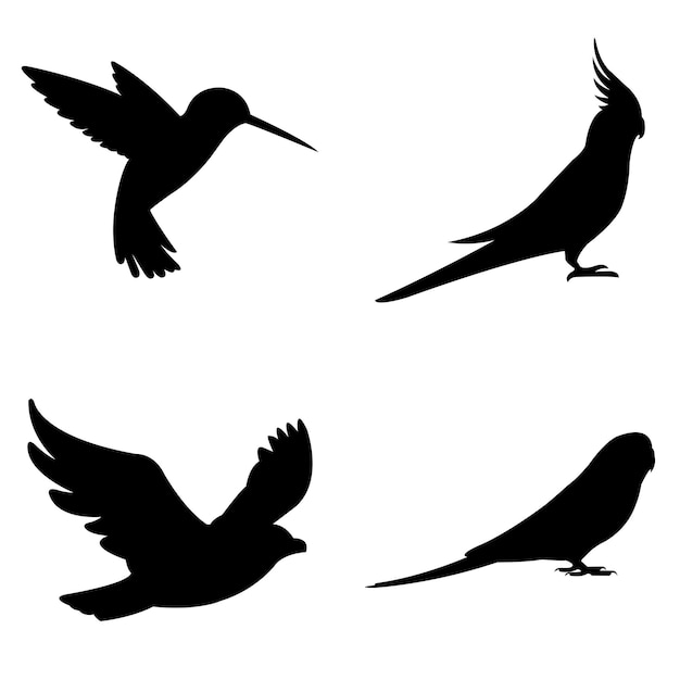 Bird animal silhouette