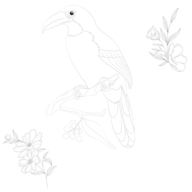 Bird Black and white Vector