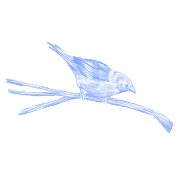 Vector bird botanical floral painting illustration