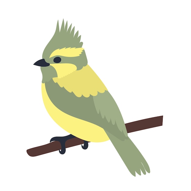 Vector bird on a branch flat design on a white background isolated vector