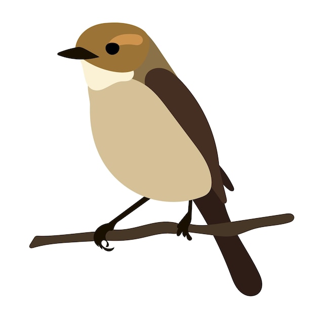 Vector bird on branch in flat style vector, isolated