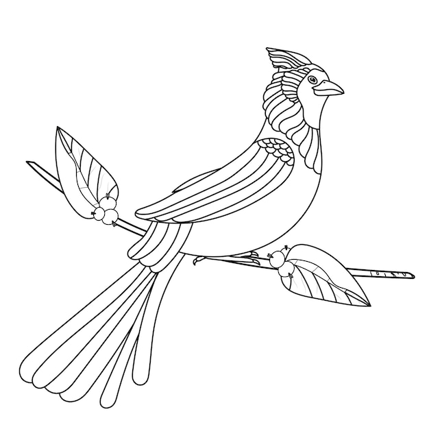 bird on a branch with berries on a white background , illustration for new year and Christmas colori