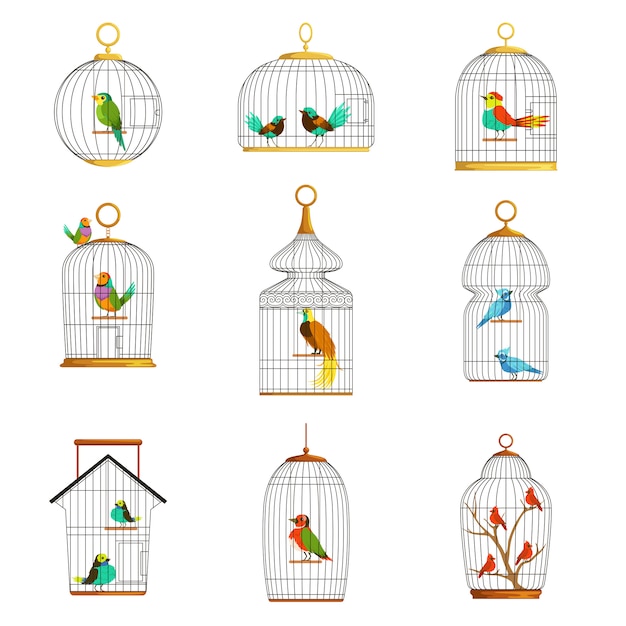 Vector bird cages with different birds set of  illustrations