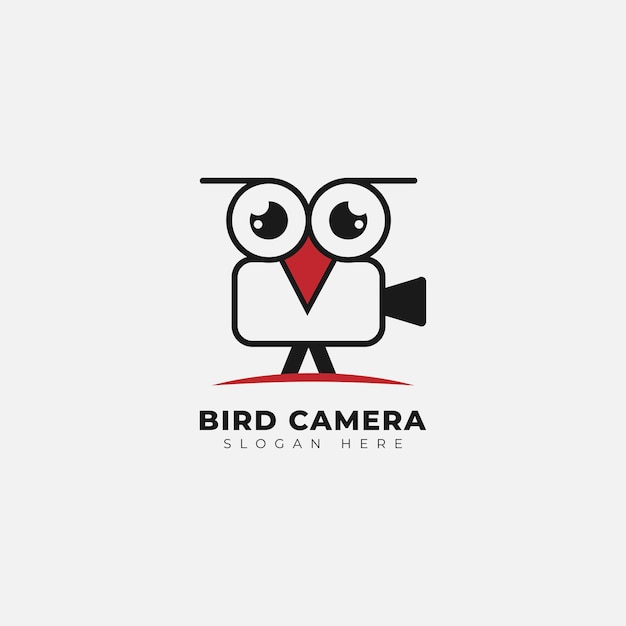 bird and camera creative logo template design