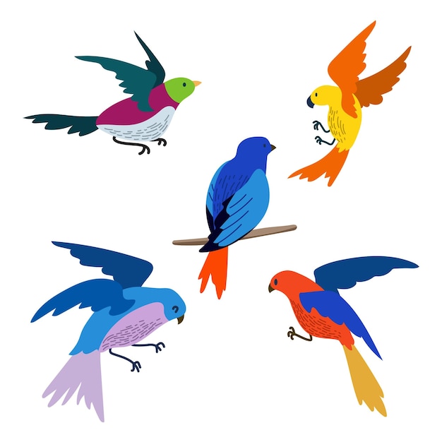 Vector bird clipart set