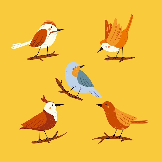 Vector bird collection drawn