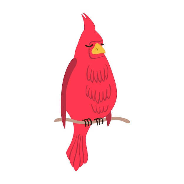 Vettore illustrazione colorata dell'uccello