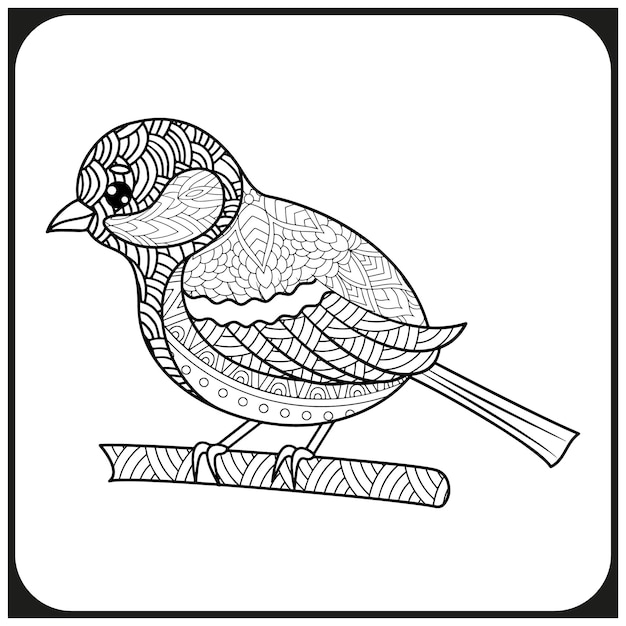 bird coloring book design for adult