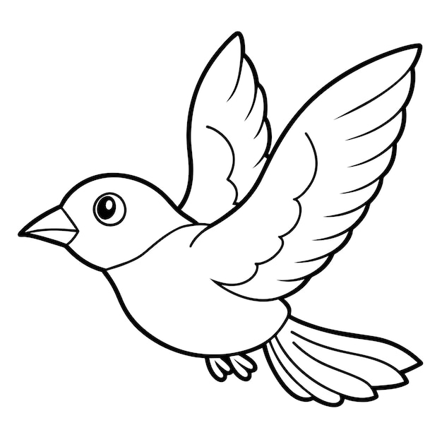 Bird coloring book vector illustration 50