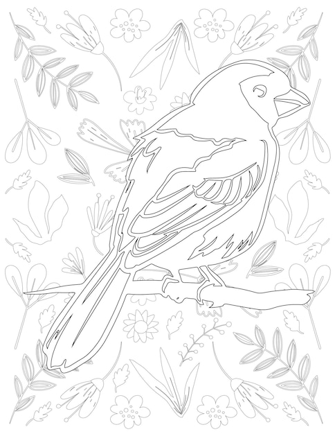 Bird Coloring Page, Bird Vector, Bird White and Black, Bird Coloring for Kids