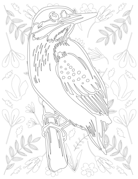 Bird Coloring Page, Bird Vector, Bird White and Black, Bird Coloring for Kids