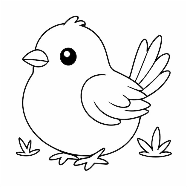 Bird Coloring Page Drawing Activity For Kids