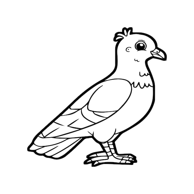 Bird coloring pages for coloring book