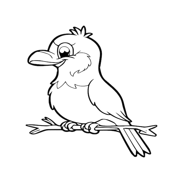 Bird coloring pages for coloring book