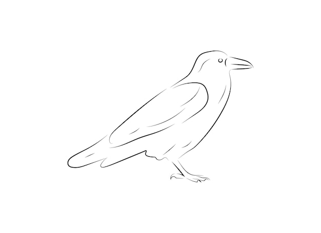 Bird continuous line art illustration