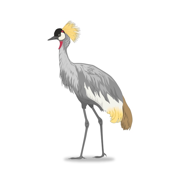 bird crane