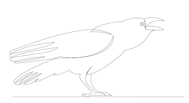 Bird crow drawing by one continuous line