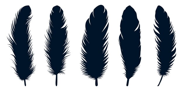 Bird different types feathers silhouettes vector art