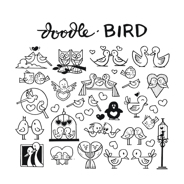 Bird doodle hand drawn set