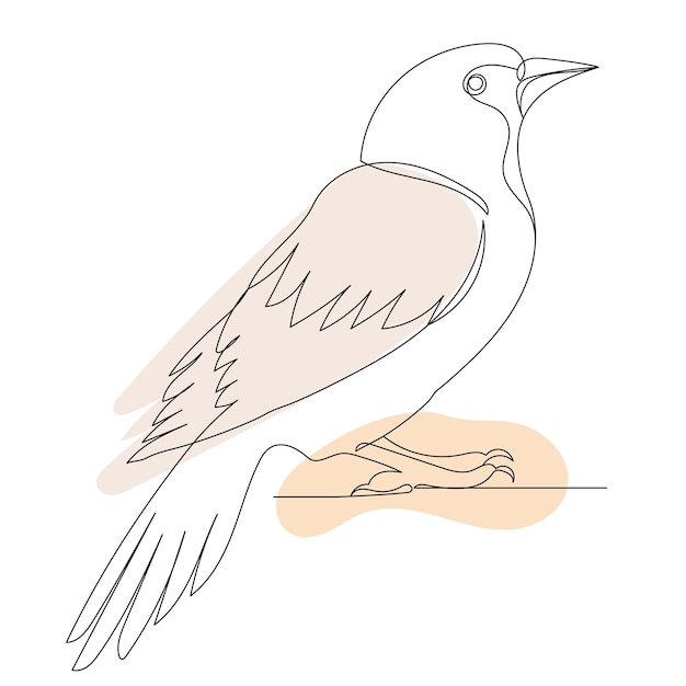 Bird drawing in one continuous line sketch vector