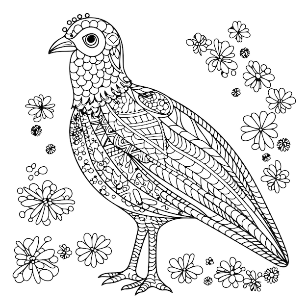 Bird drawing outline