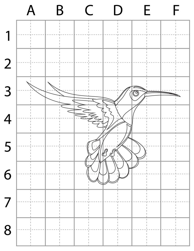 Vector bird drawing page