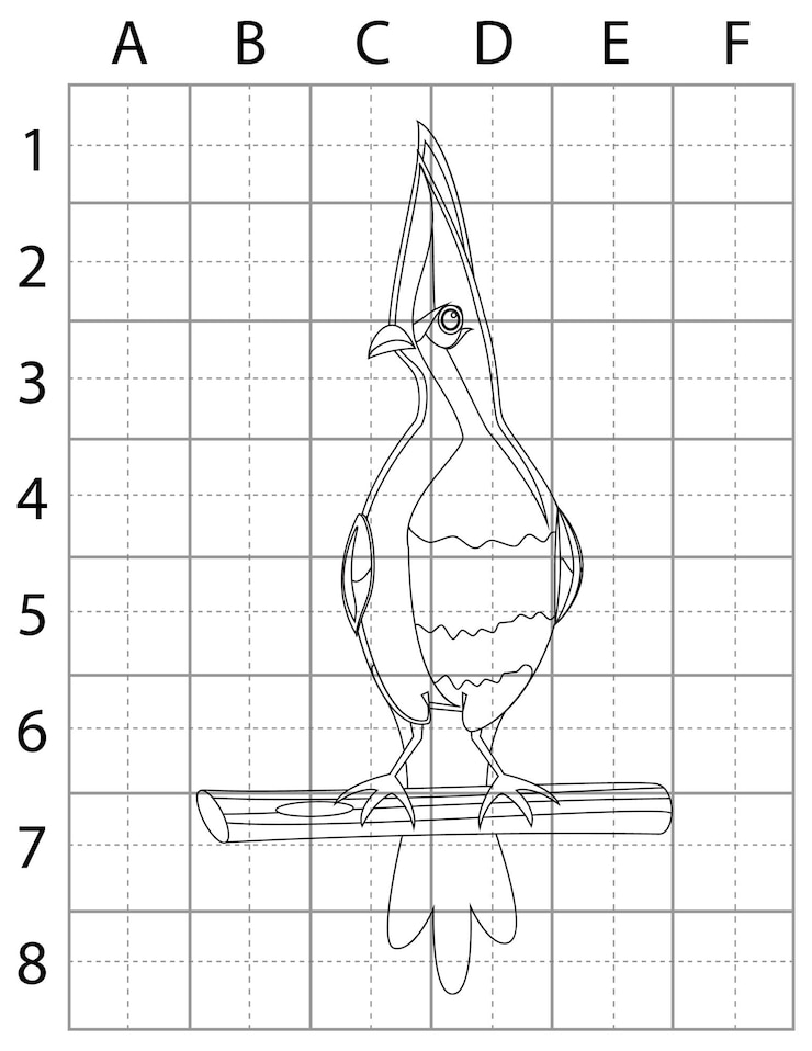 Vector bird drawing page