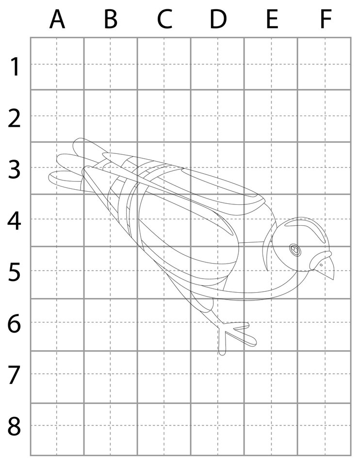 Vector bird drawing page